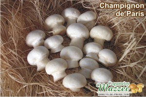 Cogumelos Mazzei -> Champignon de Paris