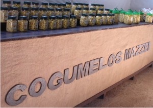 Cogumelos Mazzei